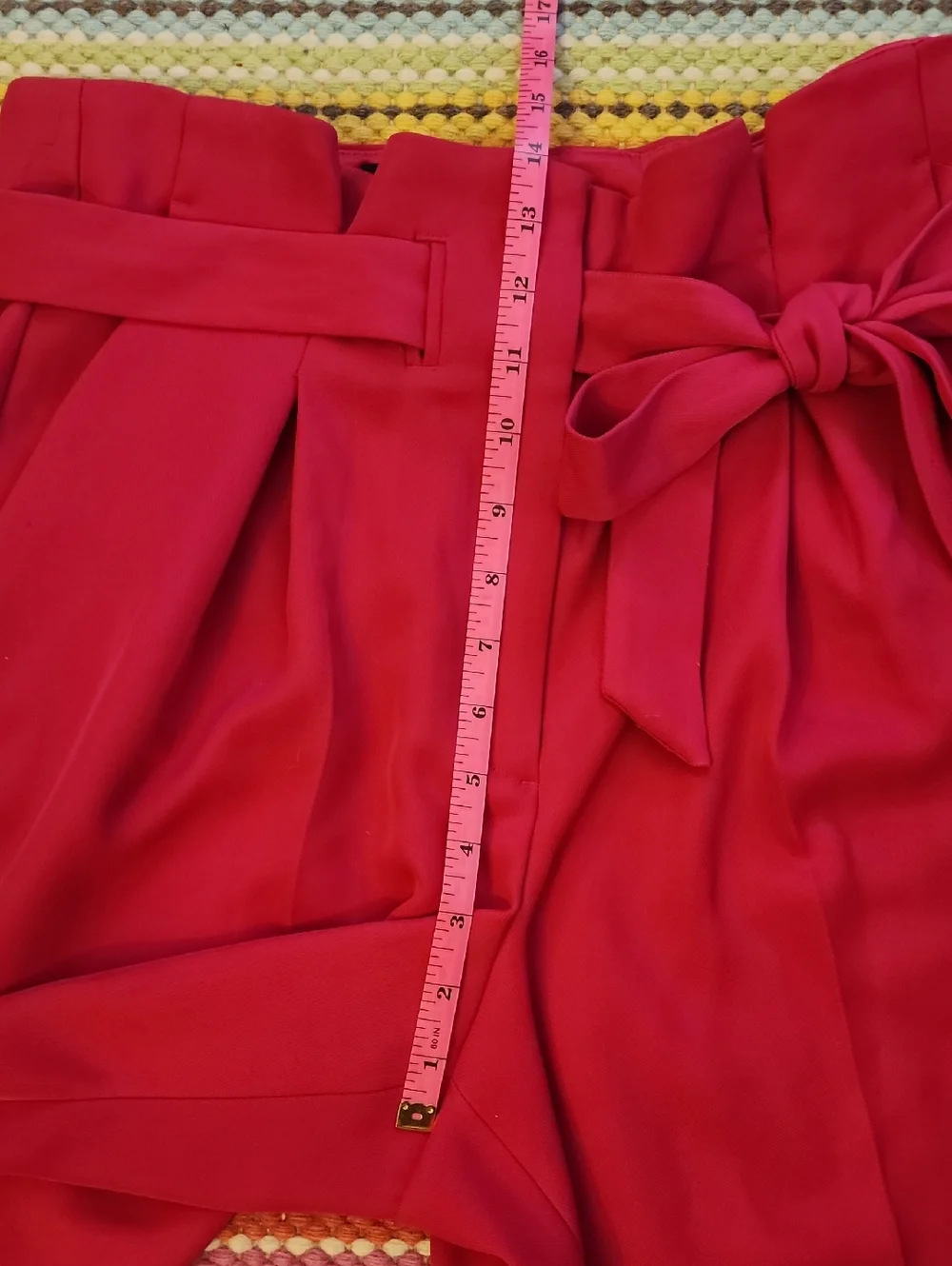 Express Pink Wide Leg Paperbag Waist Pants With Zipper Fly And Drawstring